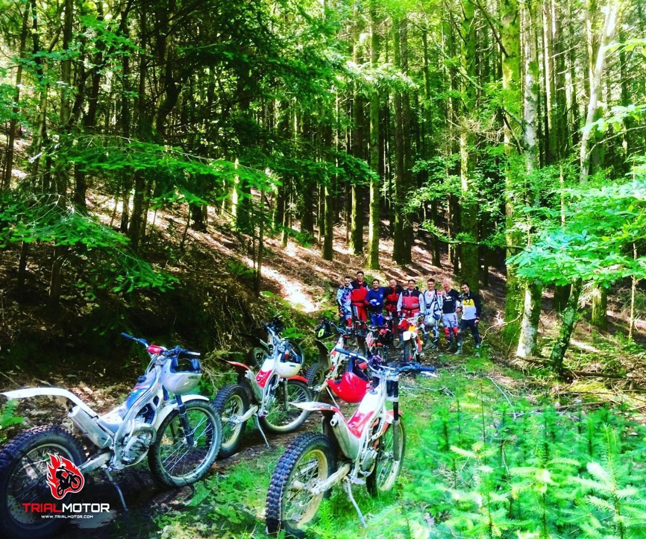 Quintal De Alem Do Ribeiro-turismo Rural Gasthuis 3*